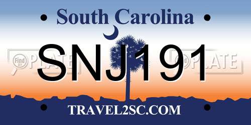 SNJ191 South Carolina License Plate