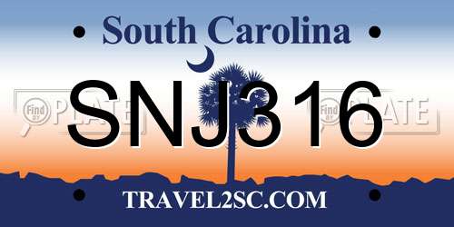 SNJ316 South Carolina License Plate