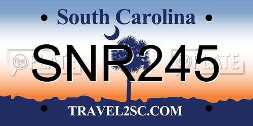 SNR245 South Carolina License Plate