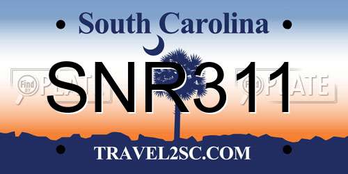 SNR311 South Carolina License Plate