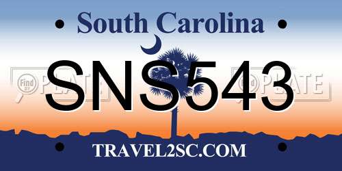 SNS543 South Carolina License Plate