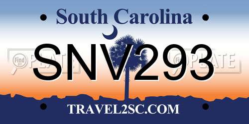 SNV293 South Carolina License Plate