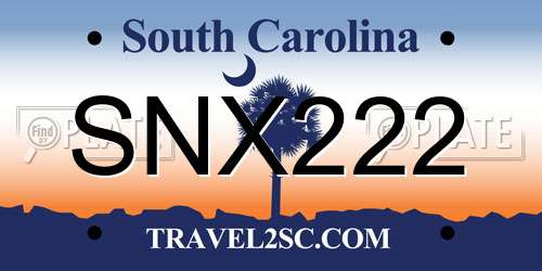 SNX222 South Carolina License Plate