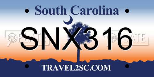 SNX316 South Carolina License Plate