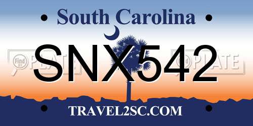 SNX542 South Carolina License Plate