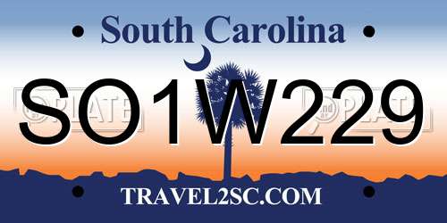 SO1W229 South Carolina License Plate