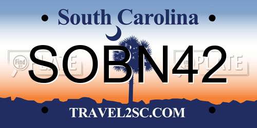 SOBN42 South Carolina License Plate