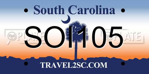 SOI105 South Carolina License Plate