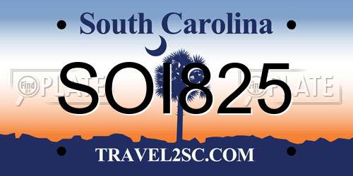 SOI825 South Carolina License Plate