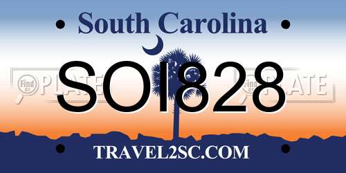 SOI828 South Carolina License Plate