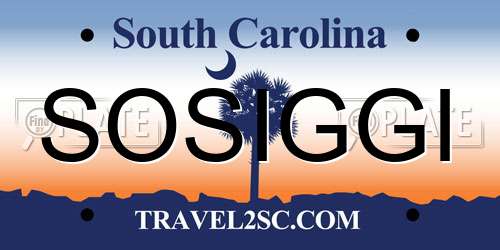 SOSIGGI South Carolina License Plate