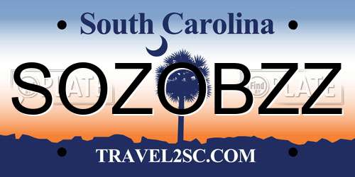 SOZOBZZ South Carolina License Plate