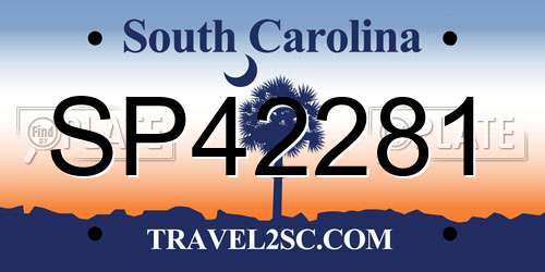 SP42281 South Carolina License Plate