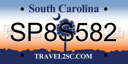 SP8S582 South Carolina License Plate