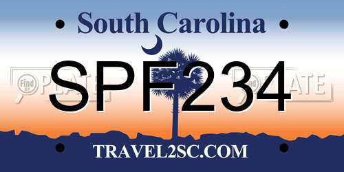 SPF234 South Carolina License Plate