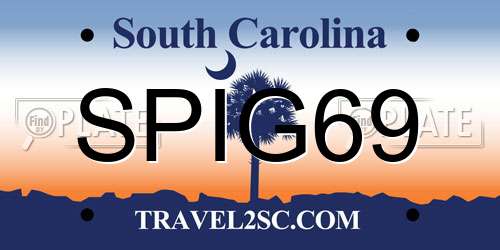 SPIG69 South Carolina License Plate