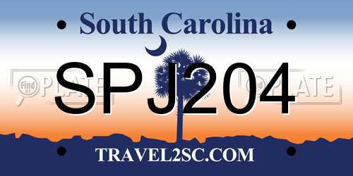 SPJ204 South Carolina License Plate