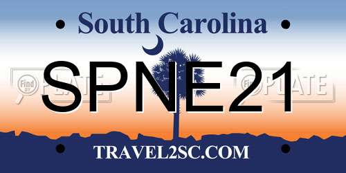 SPNE21 South Carolina License Plate