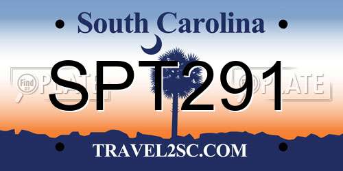 SPT291 South Carolina License Plate