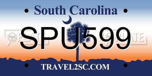 SPU599 South Carolina License Plate