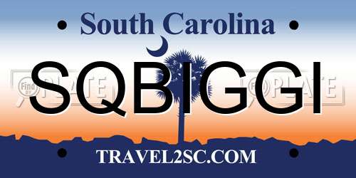 SQBIGGI South Carolina License Plate