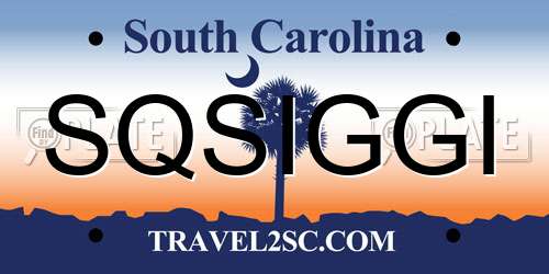 SQSIGGI South Carolina License Plate