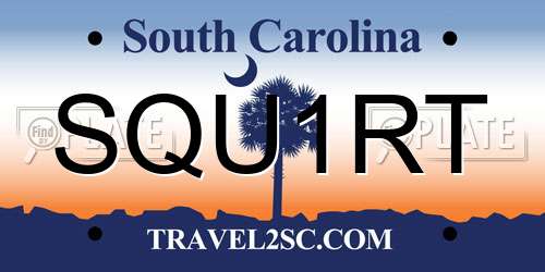 SQU1RT South Carolina License Plate