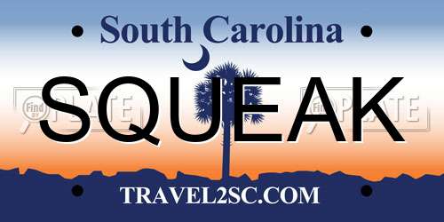 SQUEAK South Carolina License Plate