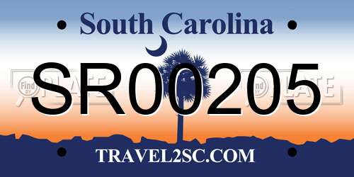 SR00205 South Carolina License Plate
