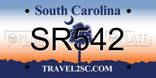 SR542 South Carolina License Plate