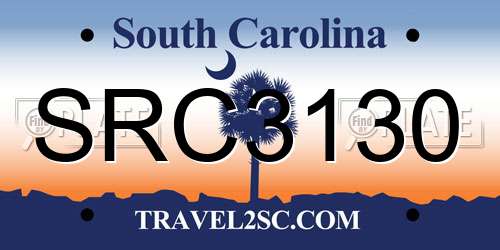 SRC3130 South Carolina License Plate