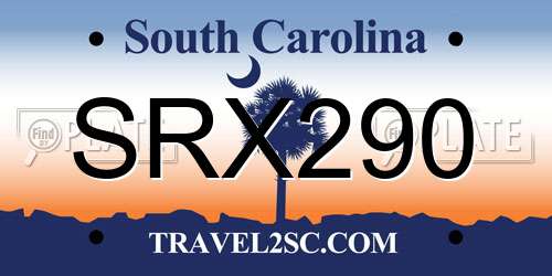 SRX290 South Carolina License Plate