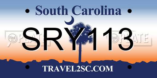 SRY113 South Carolina License Plate