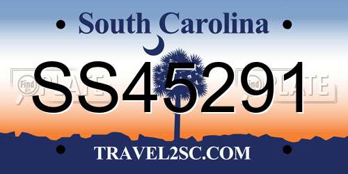 SS45291 South Carolina License Plate