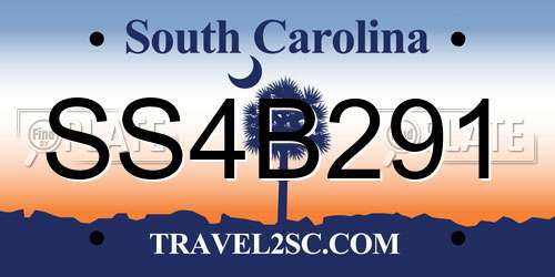 SS4B291 South Carolina License Plate