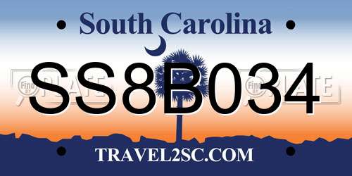 SS8B034 South Carolina License Plate