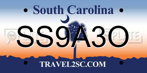 SS9A3O South Carolina License Plate