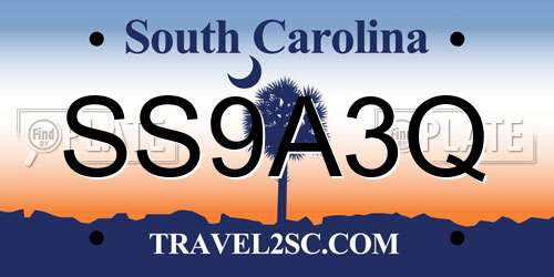 SS9A3Q South Carolina License Plate
