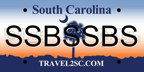 SSBSSBS South Carolina License Plate