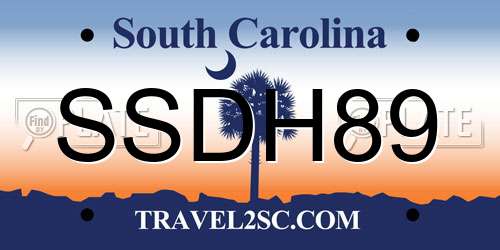 SSDH89 South Carolina License Plate