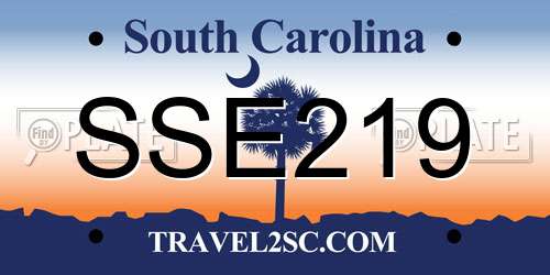 SSE219 South Carolina License Plate