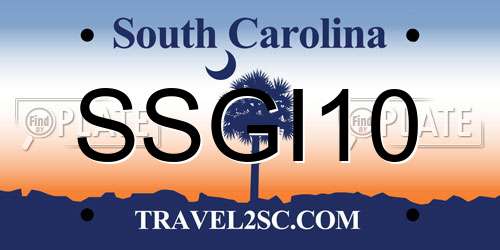SSGI10 South Carolina License Plate