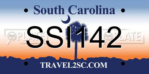 SSI142 South Carolina License Plate