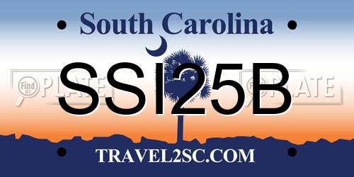 SSI25B South Carolina License Plate