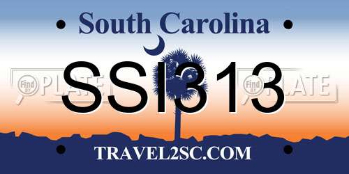 SSI313 South Carolina License Plate