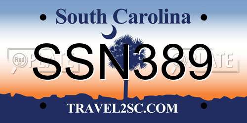 SSN389 South Carolina License Plate