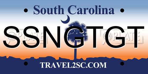 SSNGTGT South Carolina License Plate