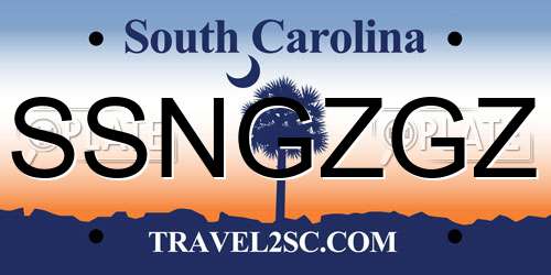 SSNGZGZ South Carolina License Plate
