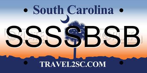 SSSSBSB South Carolina License Plate