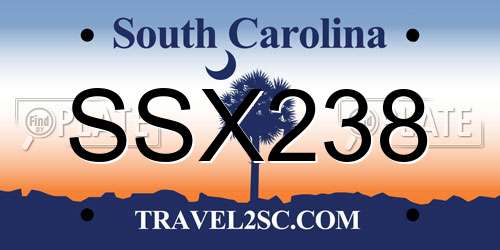 SSX238 South Carolina License Plate